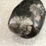 Japanese Natural Chrysanthemum Stone Rough Stone 312.5g (ID:65452)