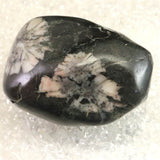 Japanese Natural Chrysanthemum Stone Rough Stone 312.5g (ID:65452)