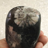 Japanese Natural Chrysanthemum Stone Rough Stone 312.5g (ID:65452)