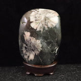 Japanese Natural Chrysanthemum Stone Rough Stone 312.5g (ID:65452)