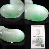 Natural Itoigawa Jadeite Light Green 31mm Magatama 13.11g with Certificate (ID:68643)