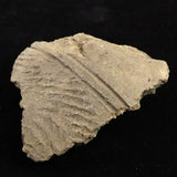 Japanese Natural Jomon Earthenware 81mm Artifact Shard 61.8g (ID:68853)