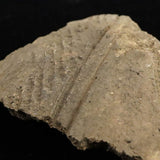 Japanese Natural Jomon Earthenware 81mm Artifact Shard 61.8g (ID:68853)