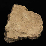 Japanese Natural Jomon Earthenware 81mm Artifact Shard 61.8g (ID:68853)