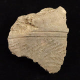 Japanese Natural Jomon Earthenware 81mm Artifact Shard 61.8g (ID:68853)