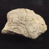 Japanese Natural Jomon Earthenware 67mm Artifact Shard 28.9g (ID:70167)