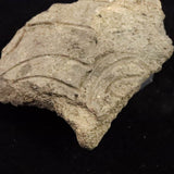 Japanese Natural Jomon Earthenware 67mm Artifact Shard 28.9g (ID:70167)
