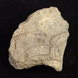 Japanese Natural Jomon Earthenware 67mm Artifact Shard 28.9g (ID:70167)