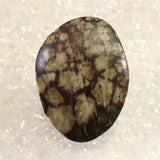 Japanese Natural Chrysanthemum Stone Rough Stone 37.8g (ID:71822)