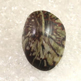 Japanese Natural Chrysanthemum Stone Rough Stone 37.8g (ID:71822)
