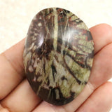 Japanese Natural Chrysanthemum Stone Rough Stone 37.8g (ID:71822)