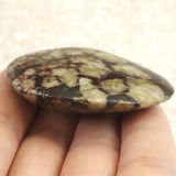 Japanese Natural Chrysanthemum Stone Rough Stone 37.8g (ID:71822)