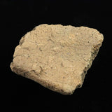 Japanese Natural Jomon Earthenware 52mm Artifact Shard 42.6g (ID:76054)