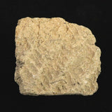 Japanese Natural Jomon Earthenware 52mm Artifact Shard 42.6g (ID:76054)