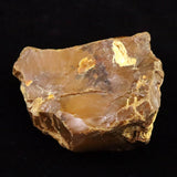 Japanese Natural Horokanai Town Petrified Wood Petrified Wood 101mm Rough Stone 376.5g (ID:85582)