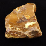 Japanese Natural Horokanai Town Petrified Wood Petrified Wood 101mm Rough Stone 376.5g (ID:85582)