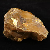 Japanese Natural Horokanai Town Petrified Wood Petrified Wood 101mm Rough Stone 376.5g (ID:85582)