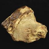 Japanese Natural Horokanai Town Petrified Wood Petrified Wood 101mm Rough Stone 376.5g (ID:85582)