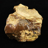 Japanese Natural Horokanai Town Petrified Wood Petrified Wood 101mm Rough Stone 376.5g (ID:85582)