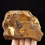 Japanese Natural Horokanai Town Petrified Wood Petrified Wood 101mm Rough Stone 376.5g (ID:85582)