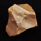 Japanese Natural Horokanai Town Petrified Wood Petrified Wood 45mm Rough Stone 73.6g (ID:88179)