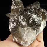 Japanese Natural Smoky Quartz Crystal Cluster Rough Stone 565g (ID:90436)