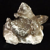 Japanese Natural Smoky Quartz Crystal Cluster Rough Stone 565g (ID:90436)