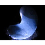 Natural Itoigawa Jadeite Green Magatama 7.4g with Certificate (ID:31634)